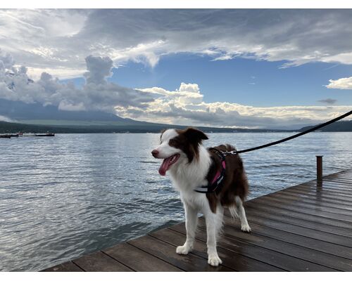 CE83CF1E-9D2A-4935-BDF9-F587DD725EDB